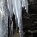 용정농장 이미지