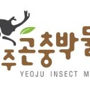 여주-1126 이미지