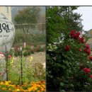 연세위드윤정신건강의학과의원 이미지