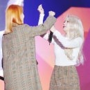 별콩 이미지