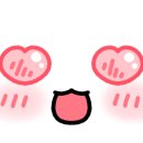 시바견분양.kr 이미지