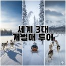 영하개 | 세계 3대 개썰매 투어, 오로라가 터지는 영하 40도에서 개와 함께 1000km를 달린 극강의 경험