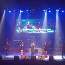 데뷔 40주년 기념 심수봉 콘서트 이미지