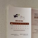 고매로43번길 | 용인 대형 애견 카페 만족도 높았던 강아지 운동장 테일45