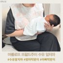 핑크블루 - 철원군 금학로210번길 12-3 | 수유 앞치마 엄마 턱받이 마롤로뜨 뜨왈드주이 블루 핑크 구매 후기
