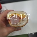 5월 27일[3번/11점] 바쁜 날 이미지