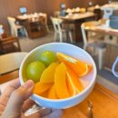 생명의 소리-202 | 오송 샤브샤브 징관청훠궈 청주점 2인세트 청주 훠궈 솔직후기