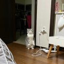 밀땅 이미지