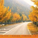 중앙동296 이미지