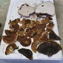 거금주유소 이미지