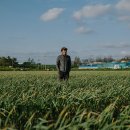 민주 태양광발전소 이미지