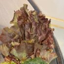 이동숯불닭갈비(죽도점) 이미지