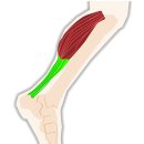 약손청담한의원 이미지