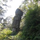 꽃봉산 아래 이미지