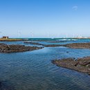 푸른신창 이미지