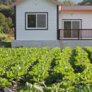 노적애뜰 이미지