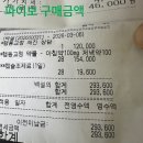 청담병원 | 냥쌤 청담 그레이스 동물병원 고양이 스프레이 행동교정 치료 후기