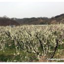 만리축산 네이버블로그