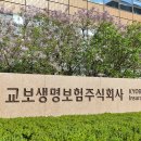 239 우먼컨슈머