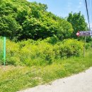 운학동 돌방무덤 이미지