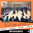 춤으로 배우는 예술수업ㅣ갬블러크루 찾아가는 학교공연 &#39;카르페디엠&#39; 태백 태서초등학교 후기