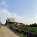 낙천리장