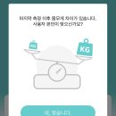 카멜로연남 이미지