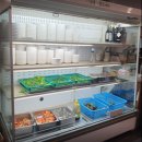 NR-1[통일로]-하-977 | 전지적 참견시점 테이 매니저 엄마 한우구이 식당 일산 샛터농원 위치