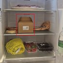 스테이 소그락 이미지