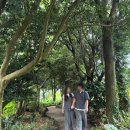 은진카서비스 | [여행][제주도] 3박 4일 일정기록_제주시/서귀포시 (1편)