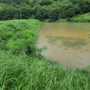 갈전소류지 이미지