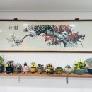 선영이네 물회 펜션 이미지