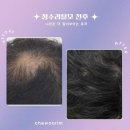 채우림광명
