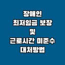 [장애인임금] 장애인 최저임금 보장 기준 / 장애인 노동착취 / 인가기준법