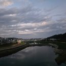 스콜라몬테소리 경북울진점 | 울진 소나무숲길 금강송