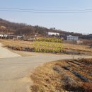 앞뜰농장 이미지