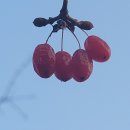 풍기노래연습장 이미지