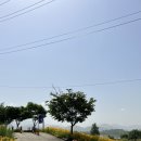 명례성지화장실 이미지