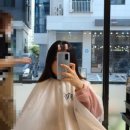 85 로스터스(Roasters)
