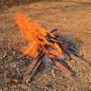 모닥불 이미지