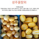 산지직송 성주참외 로얄과 30000원 30박스 한정 이벤트 판매中 이미지