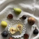 원탑농원 이미지