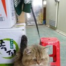 삼일공판장