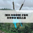 신성애드 - 중구 명륜로22길 13 | [발리 여행] 100만원 4박6일 발리에서 살아남기 2일차