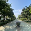 영마루공원 농구장 이미지