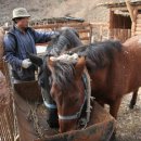 달구지마을 이미지