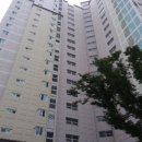 선운중앙로 이미지