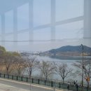 리얼허브애견카페 | 아산 신정호 뷰 좋은 애견동반 카페 윈터커피 방문 리얼 후기 (버터떡 판매)