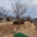 안덕면전천후게이트볼장 이미지