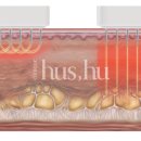 엑시온(Exion) 이미지